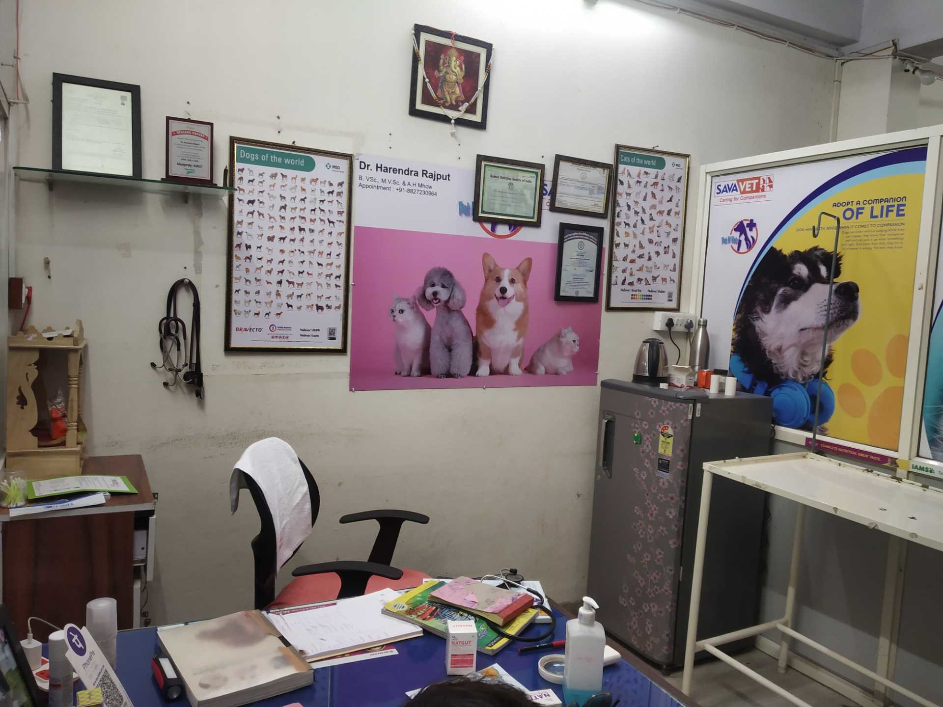 Petnvets Photos, Vijay Nagar, indore Pictures & Images Gallery Justdial