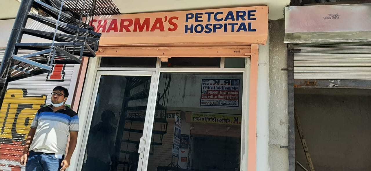Government Veterinary Poly Clinic M I Road Clinics In Jaipur Justdial