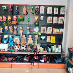 🐶 Dog Food Near Malviya Nagar Jaipur – Best Dog Food Shop in Jaipur with Price List | Naughty Dogs -2026
