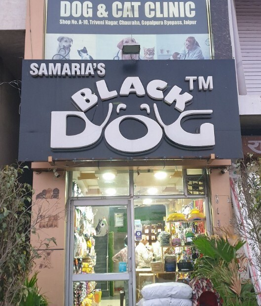 Top 100 Veterinarians in Jaipur Best Veterinary Doctors Book