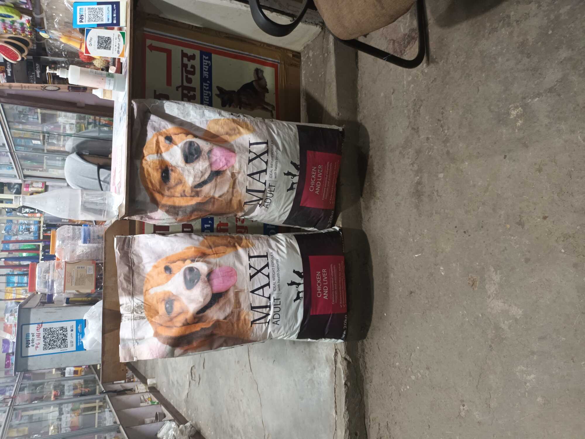 Pet Food in Jaipur Premium Quality Nourishment for Pets