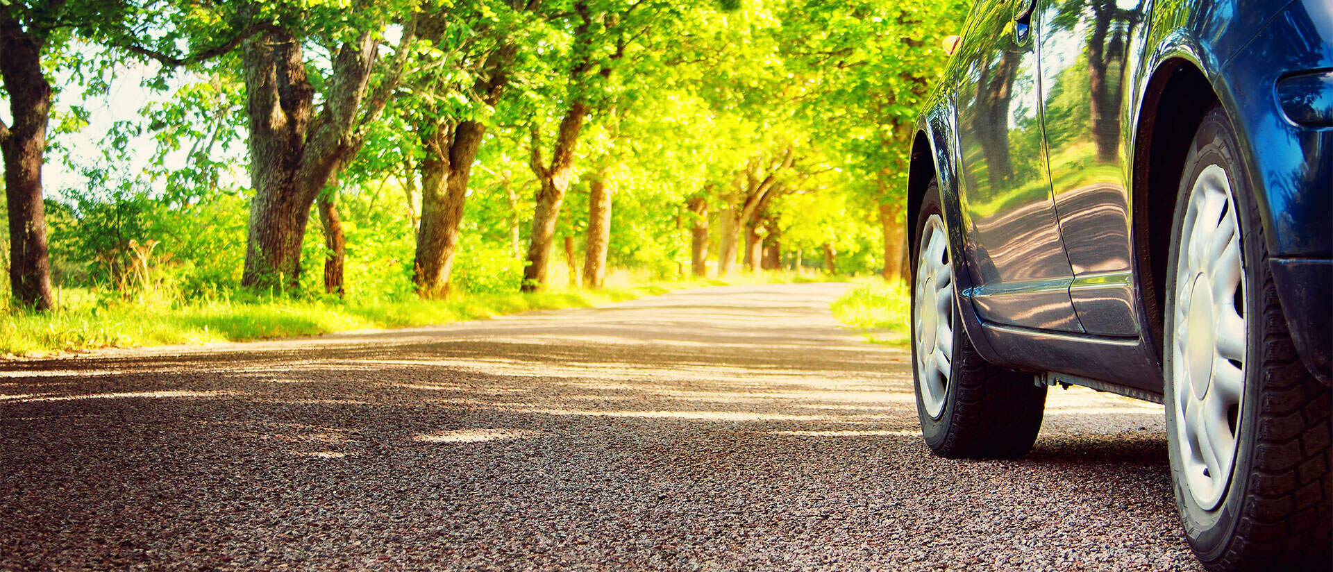 Top Car Rental near Jaisalmer Best Car Booking Justdial