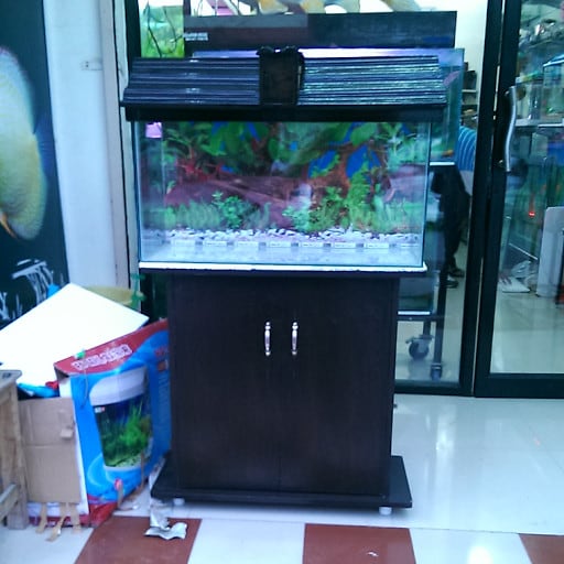 Top Fish Aquarium Dealers in UnaHimachalPradesh Best Fish Aquarium