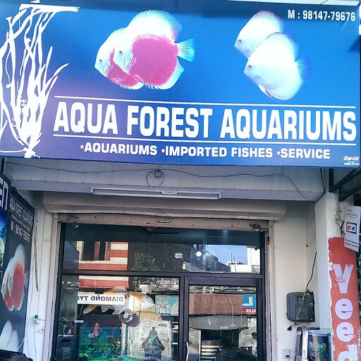 Top Fish Aquarium Dealers in UnaHimachalPradesh Best Fish Aquarium
