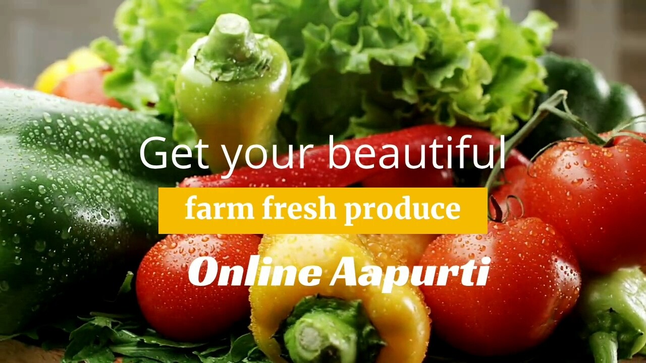 Top Exotic Vegetable Home Delivery Services in Paradip near me Justdial