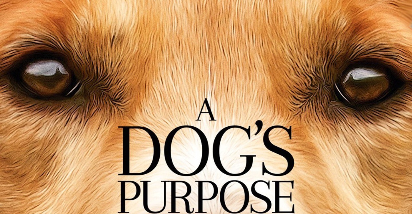 Watch A Dogs Purpose Full movie Online In HD Find where to watch it
