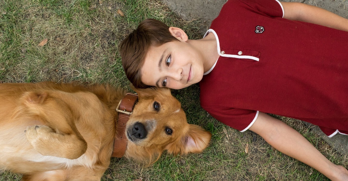 Watch A Dogs Purpose Full movie Online In HD Find where to watch it