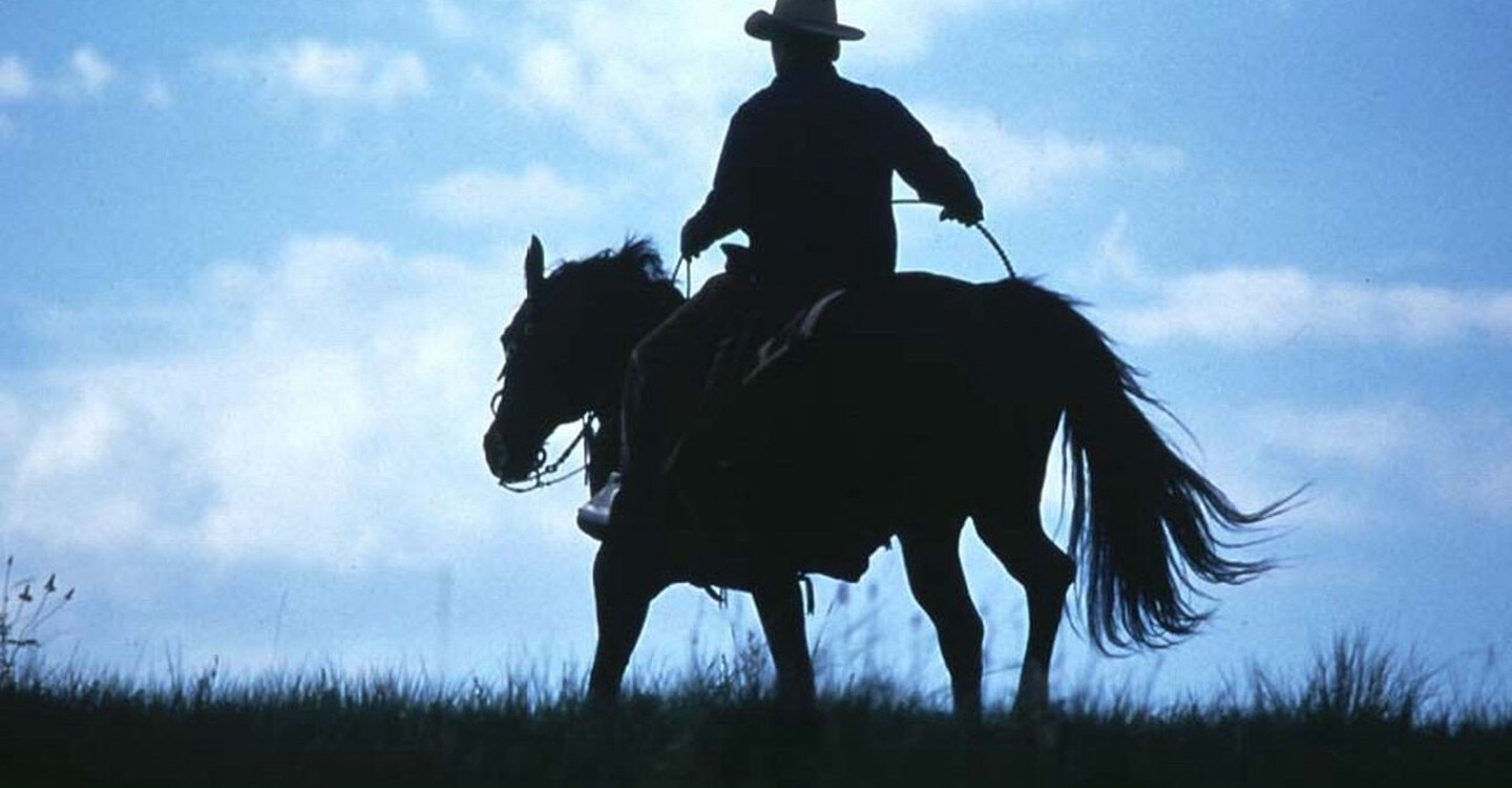 Watch The Horse Whisperer Full movie Online In HD Find where to watch