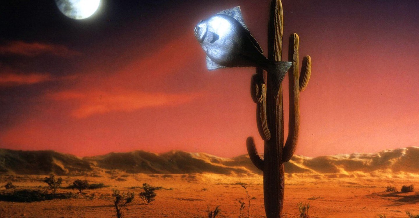 Watch Arizona Dream Full movie Online In HD | Find where to watch it