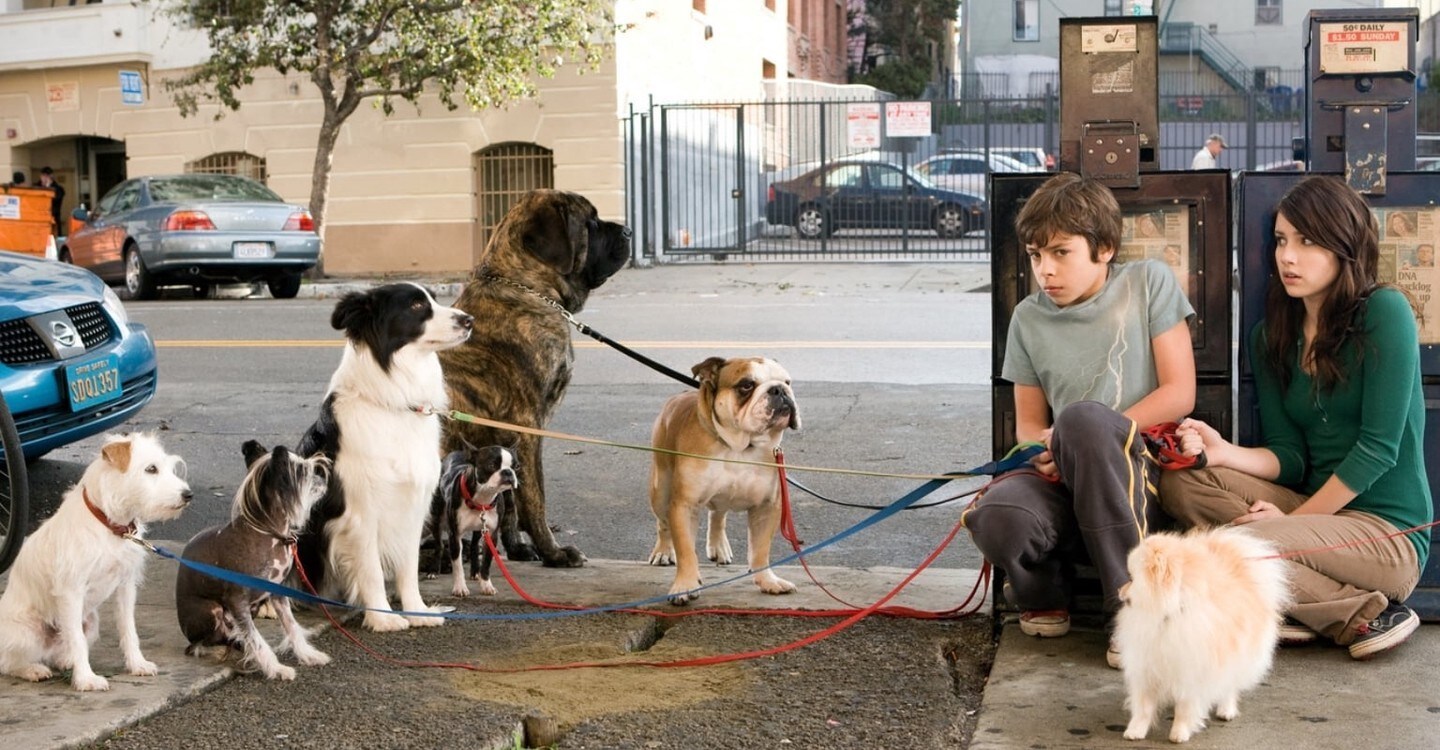 Johnny Simmons Hotel For Dogs