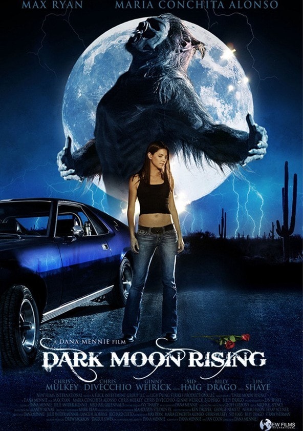 Watch The Stepfather 2009 Full Movie At 123movies