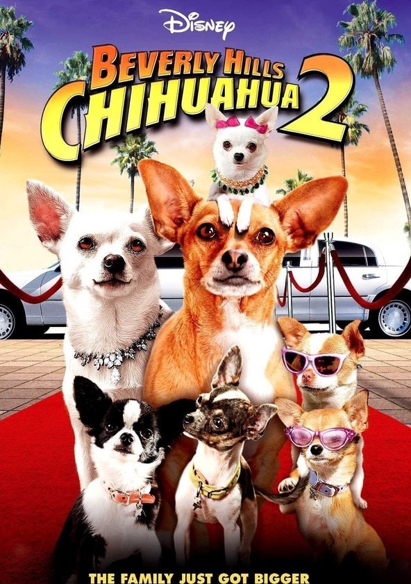 Watch Beverly Hills Chihuahua 2 Full movie Online In HD