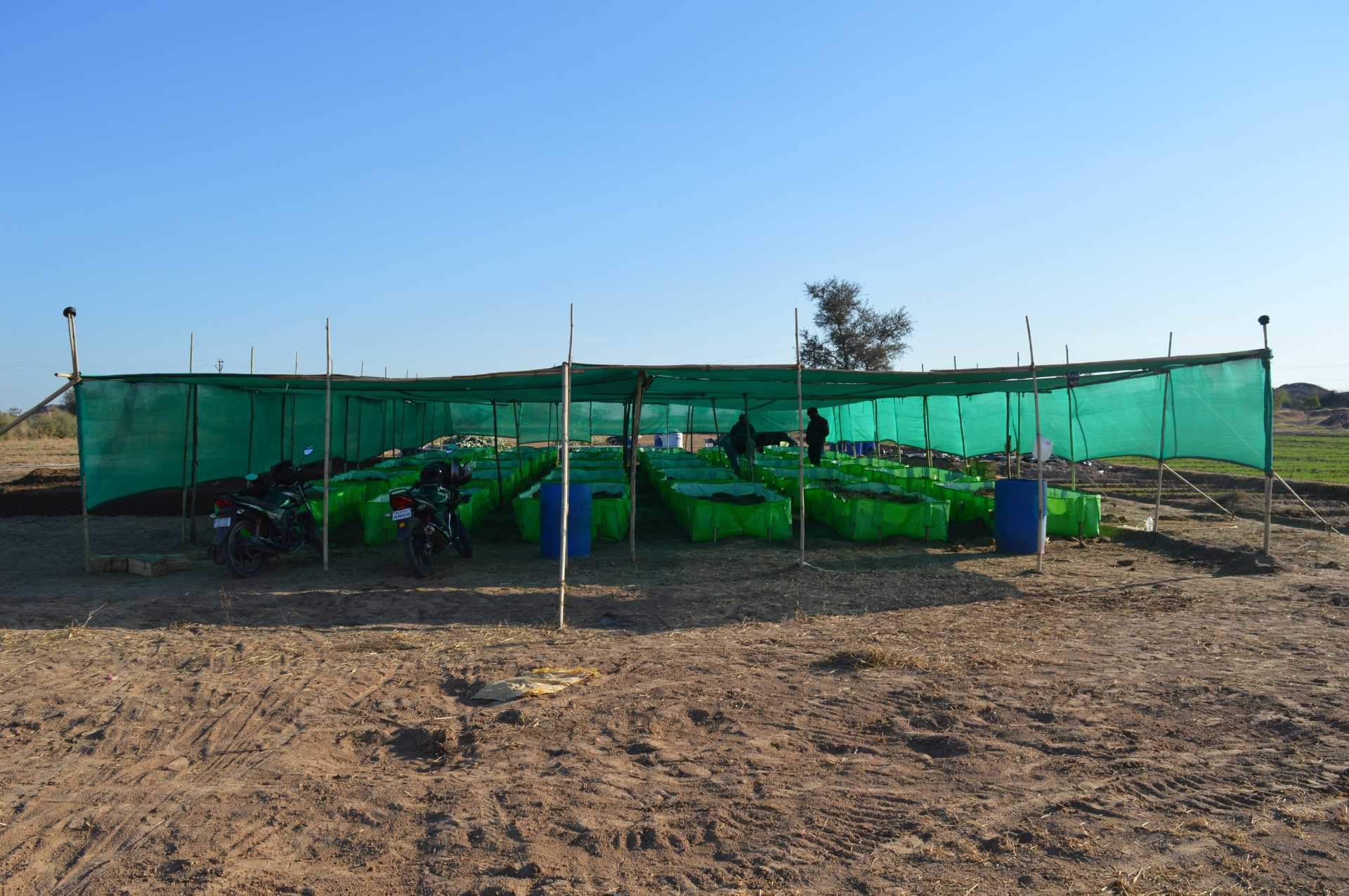 Cow Urine Gau Mata Urine Price Starting From Rs Find