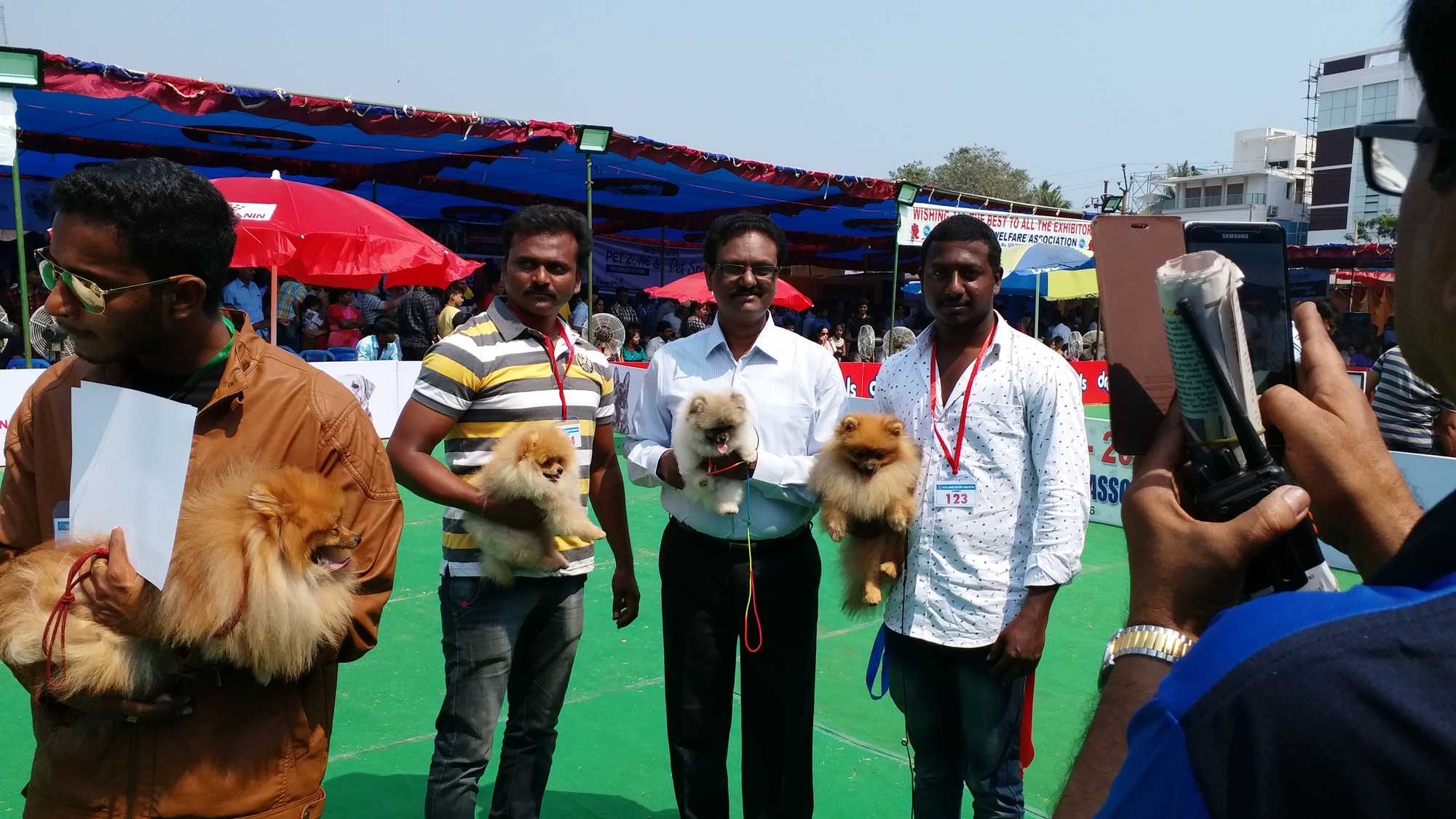 Top Pet Shops For Imported Dog in Narayanguda Best Pet Stores For