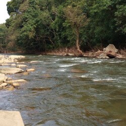 Kottiyoor Wildlife Sanctuary in Kottiyur,Kannur - Wildlife ...