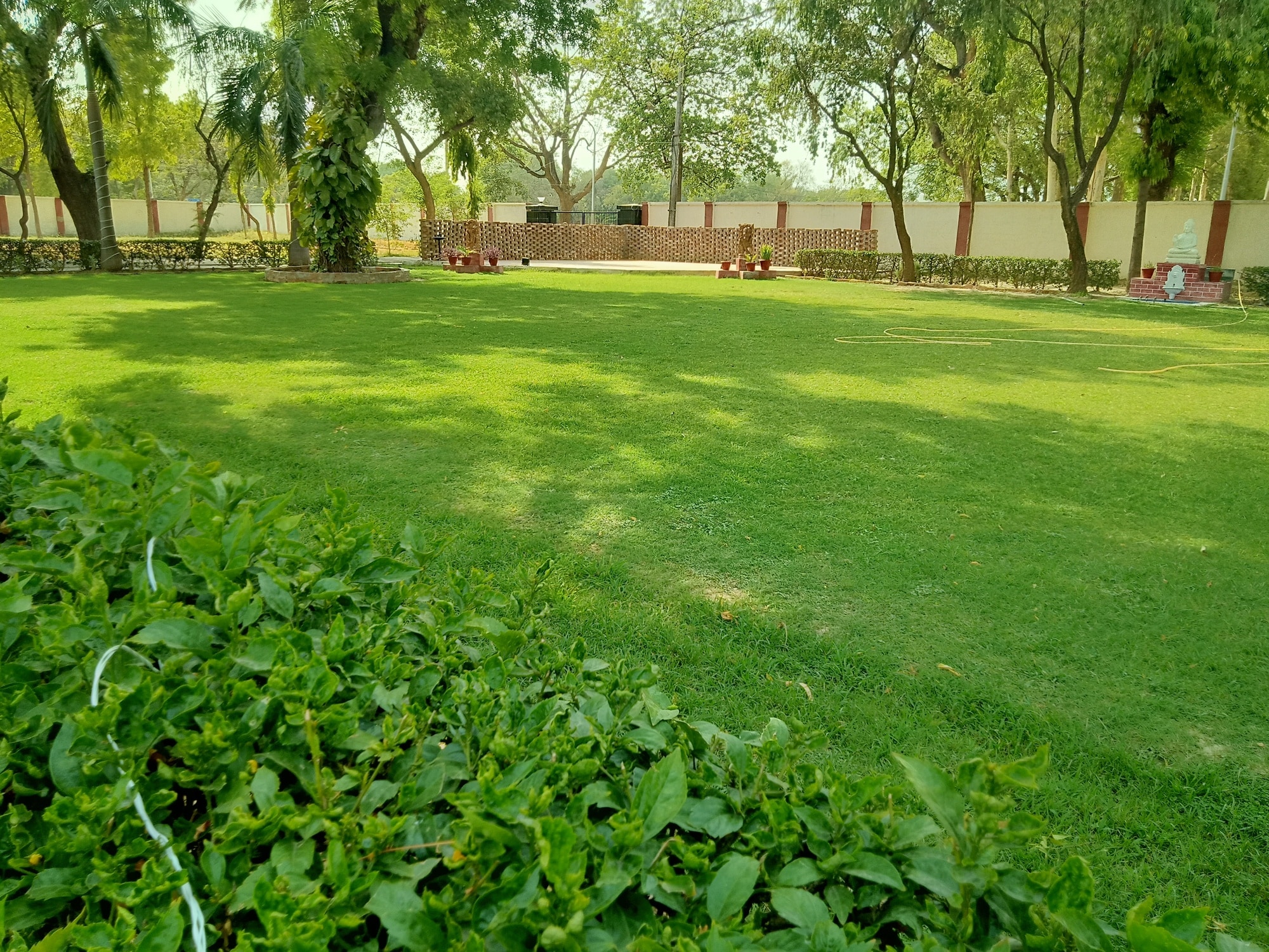 Top Plant Nurseries in Panki,Kanpur Best Government Plant Nurseries