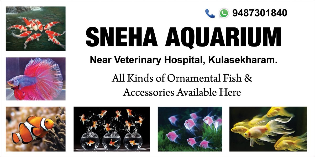 Top 10 Pet Shops For Dog in Kanyakumari Best Pet Store Justdial