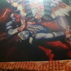 Shri Mahalaxmi Jyotish Kendra in Kapurthala,Kapurthala - Best ...