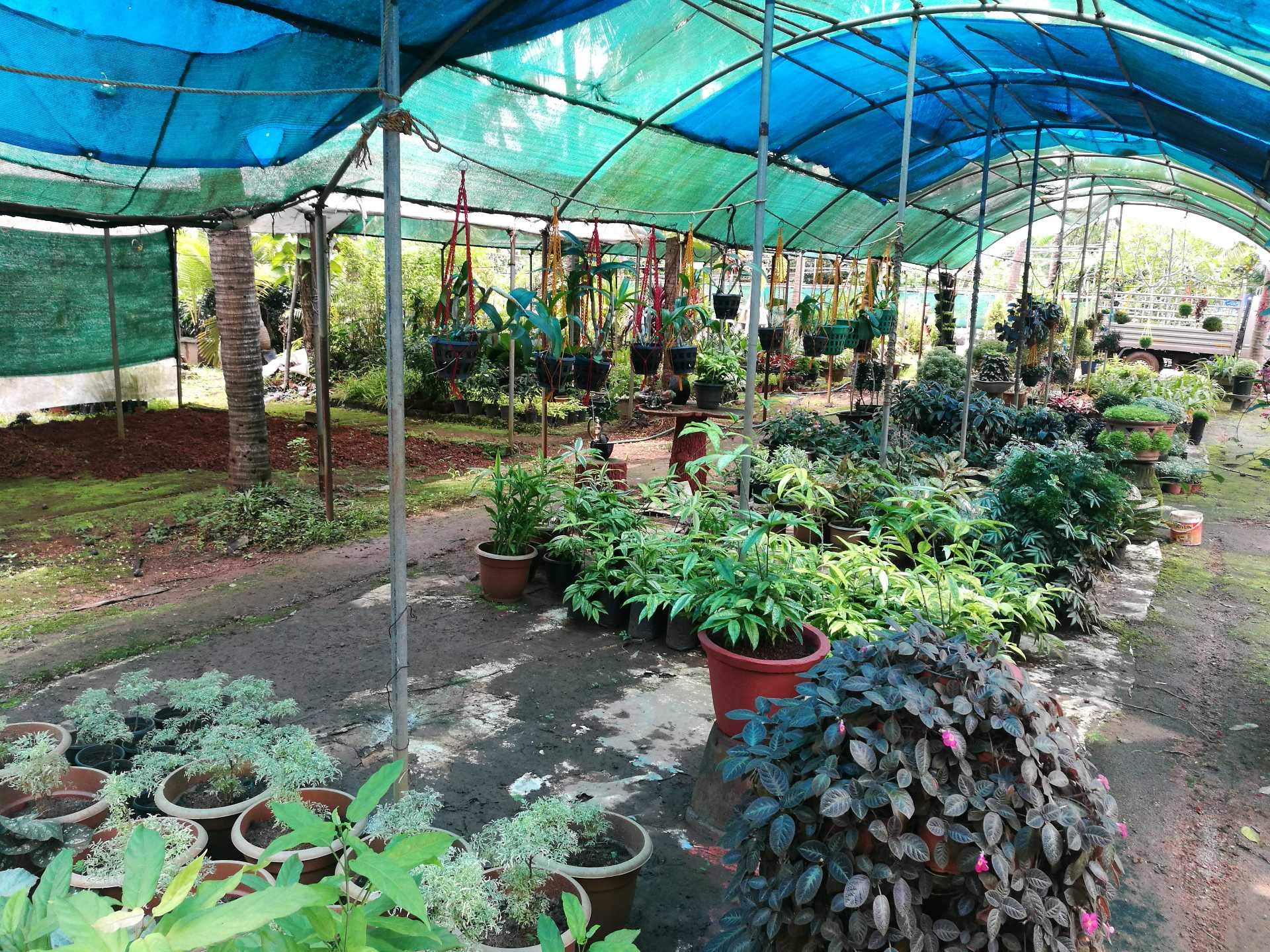 Jenny Flowers International Kanhangad Kerala Best Flower Site