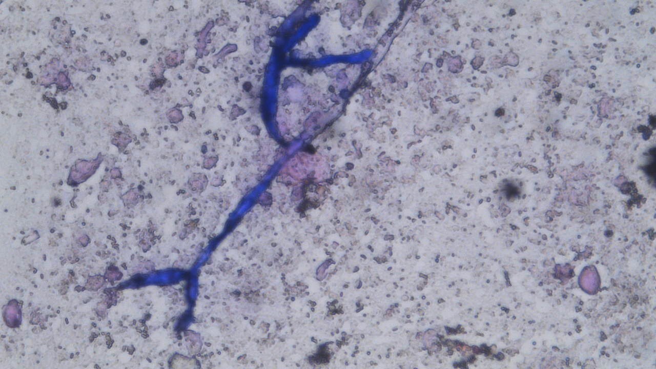 Lab view 7