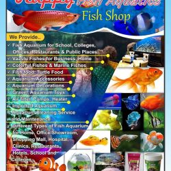 Fish care near me best sale