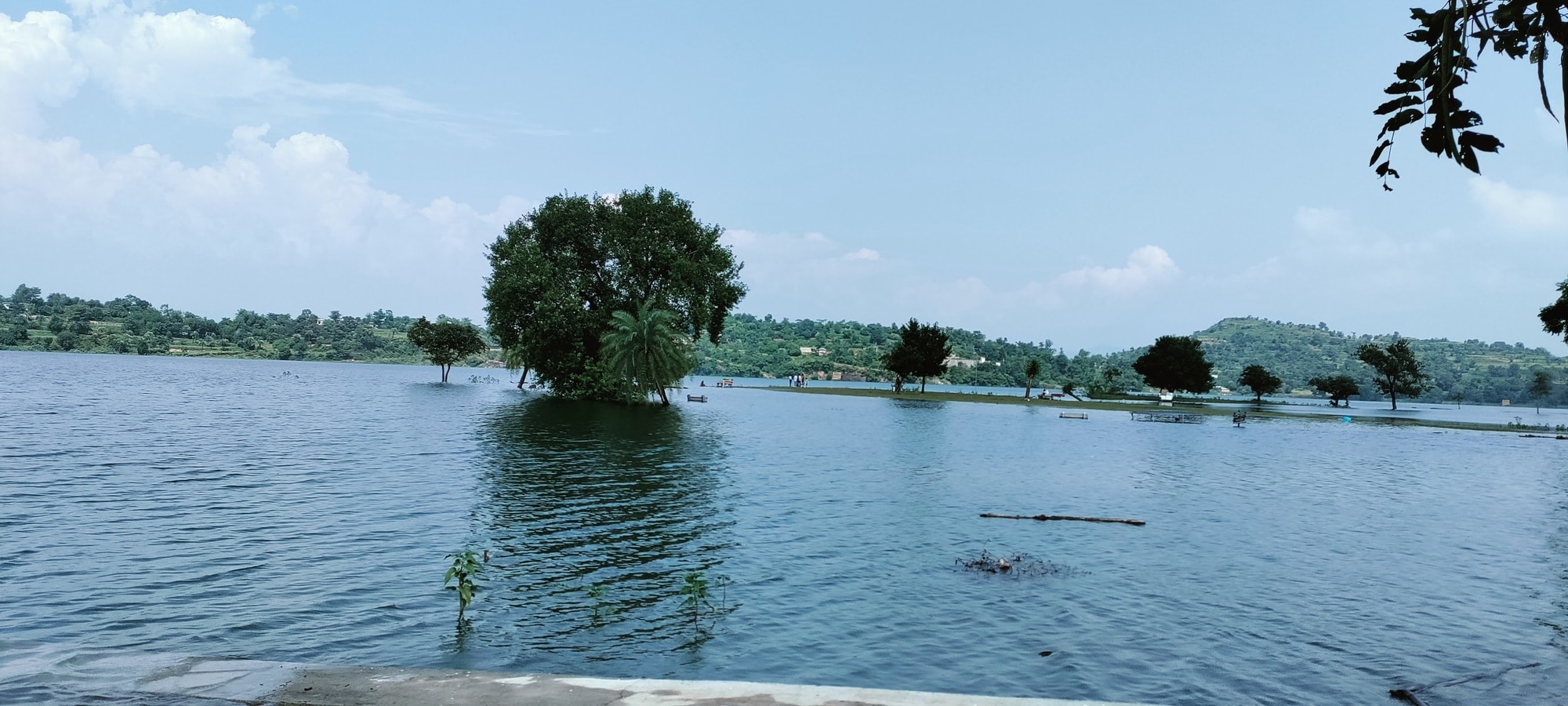Lab view 5