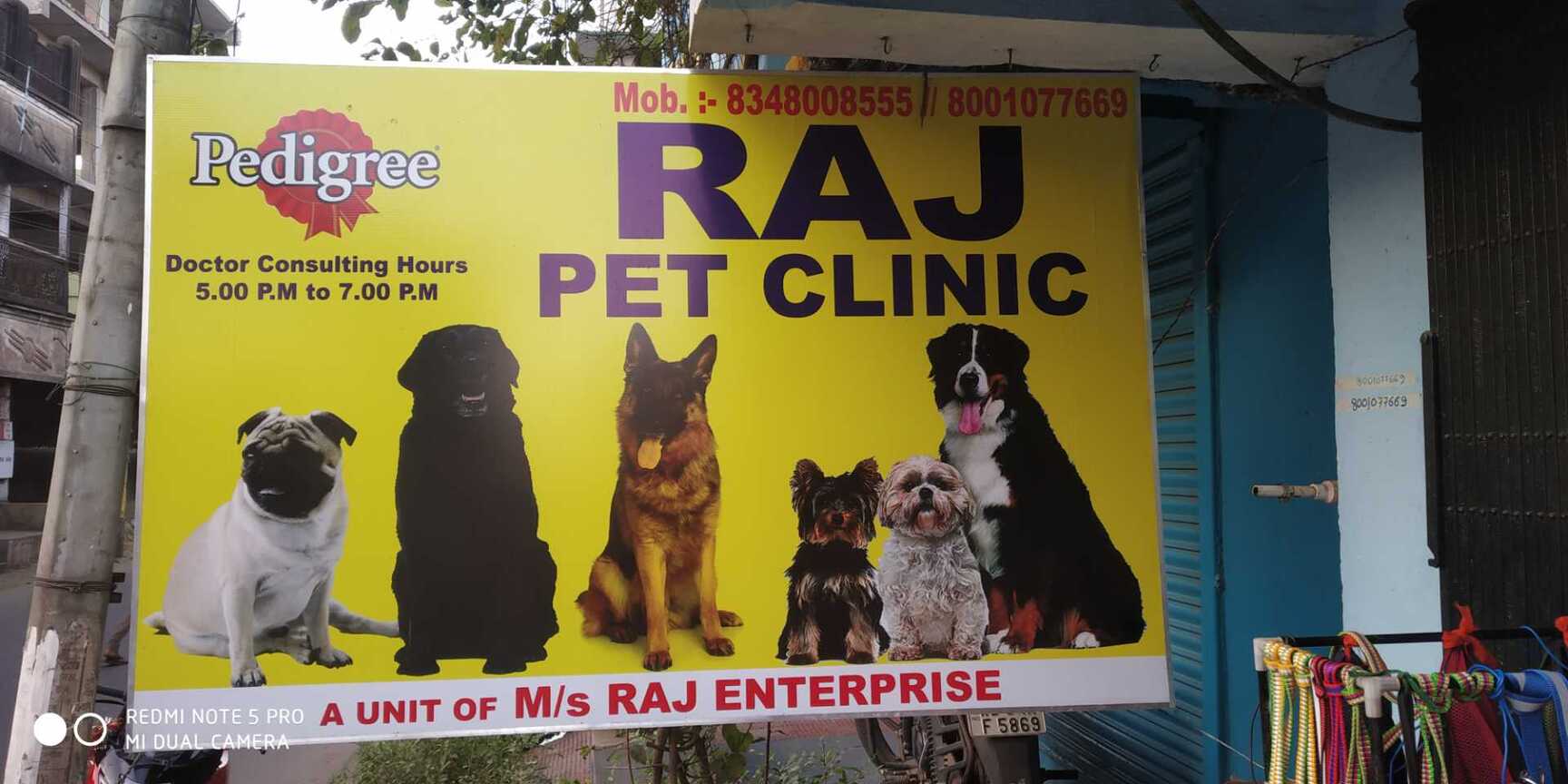 Top Pet Care Takers in Midnapore Best Dog Care Takers near me Justdial