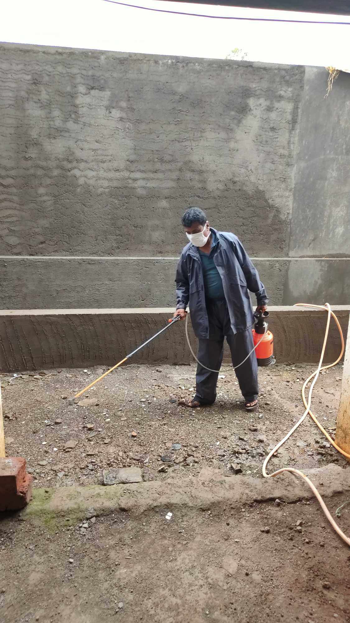 Pest Control Services for Bed Bugs in Bediv, Kolhapur - Bed Bug Removal ...