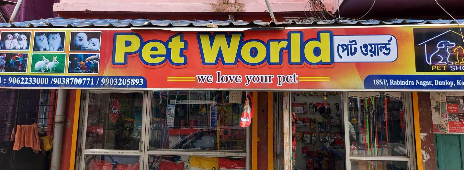 Top Pet Shops For Exotic Pets in New Town Best Pet Stores For Exotic