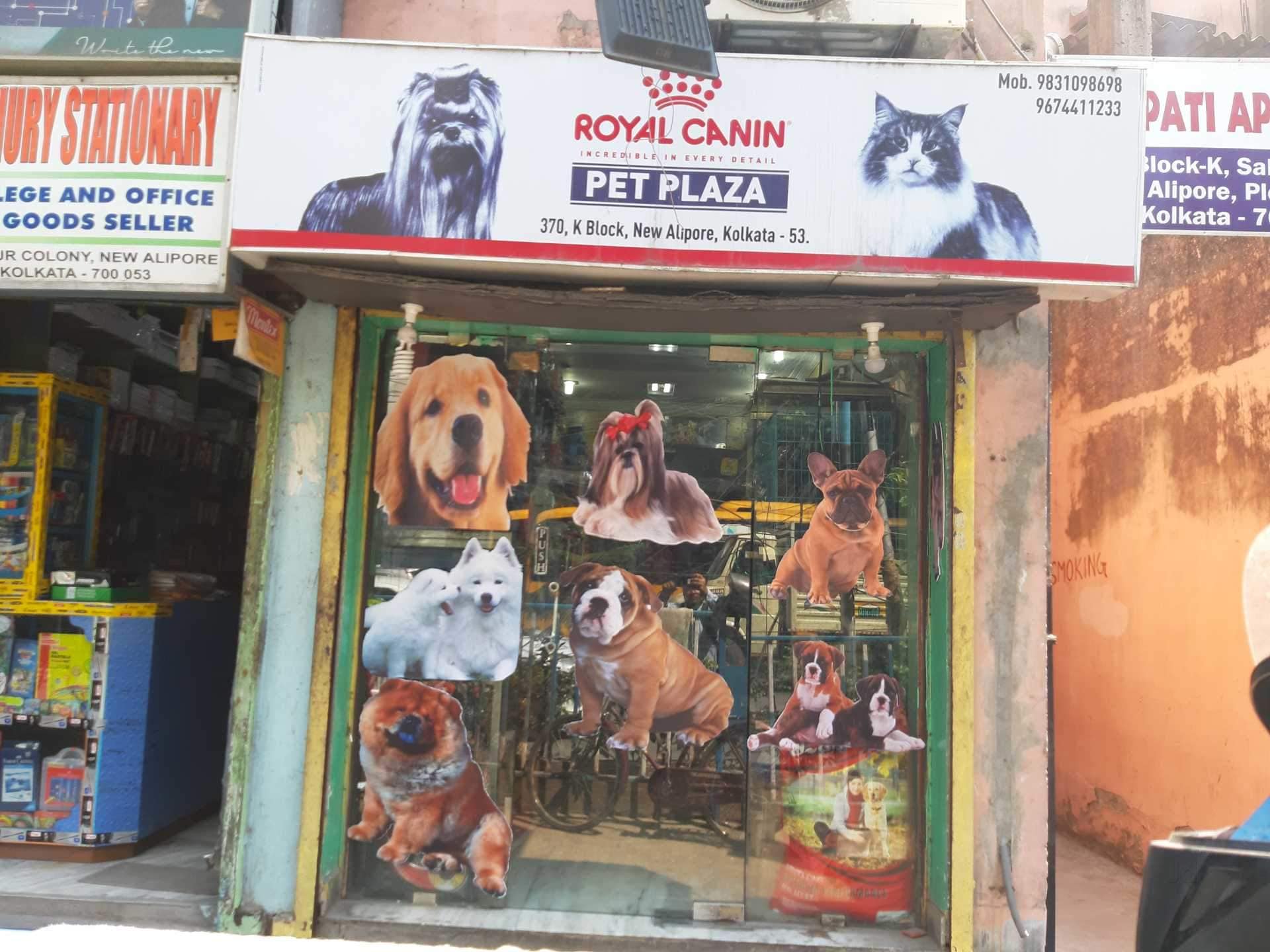 Guwahati Doggy Boarding School Near Me Dog Bed In Guwahati Cozy
