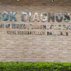 ommaviy eshak tarqaldi