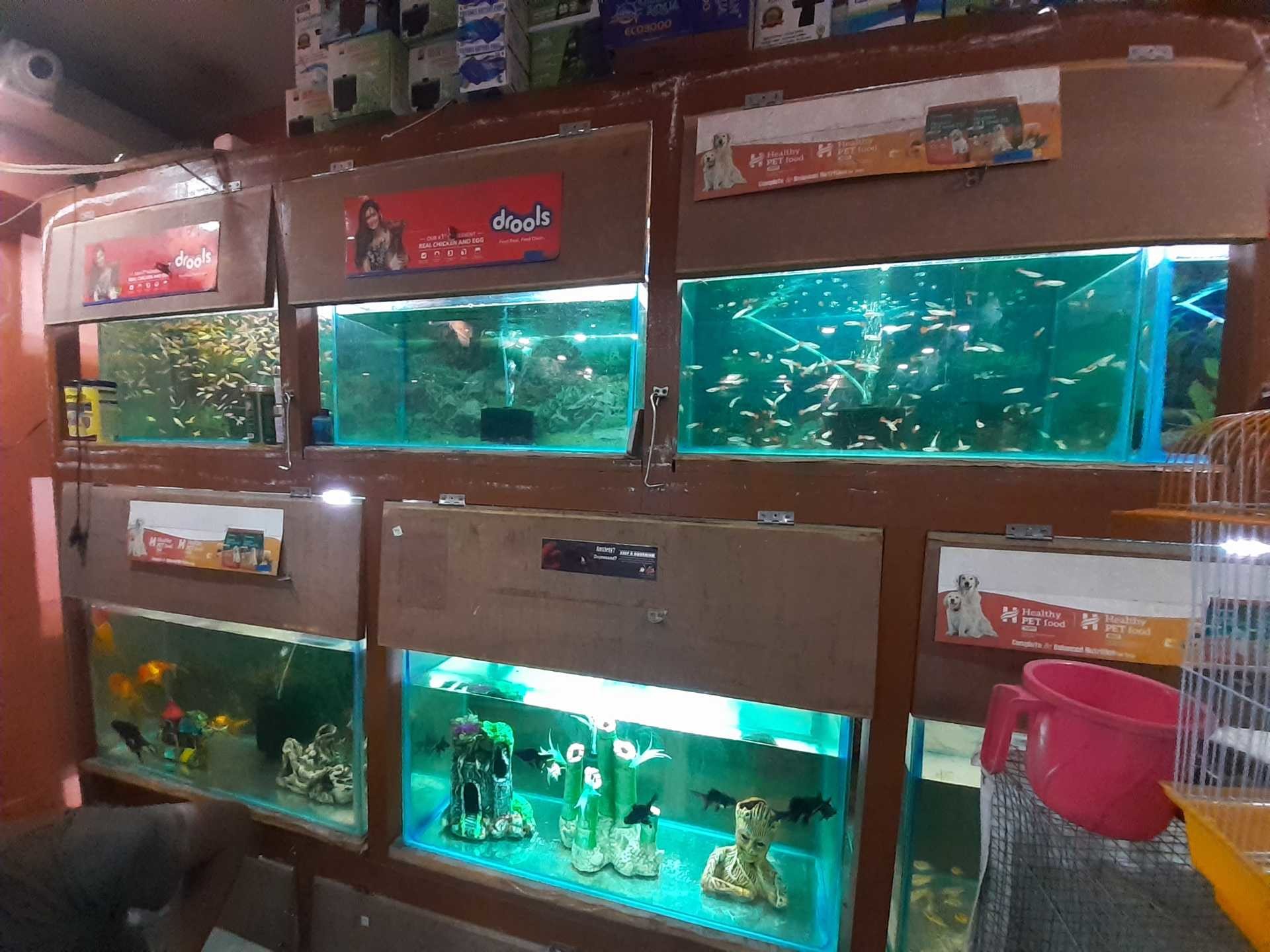 Advanced Pet Care Kolkata Advanced Pet Care Inauguration