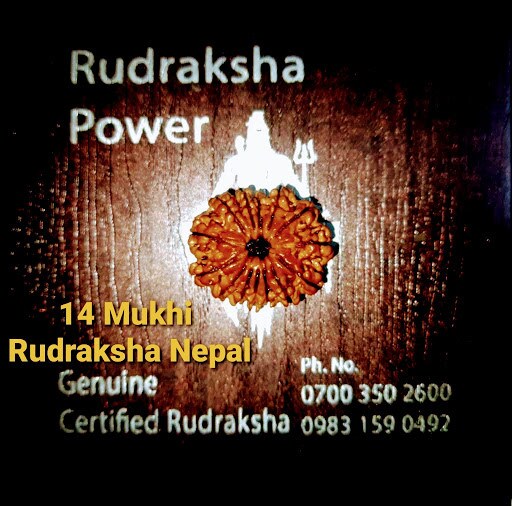 Top Rudraksha Dealers in Behala Best Rudraksha Bead Dealers Kolkata Justdial