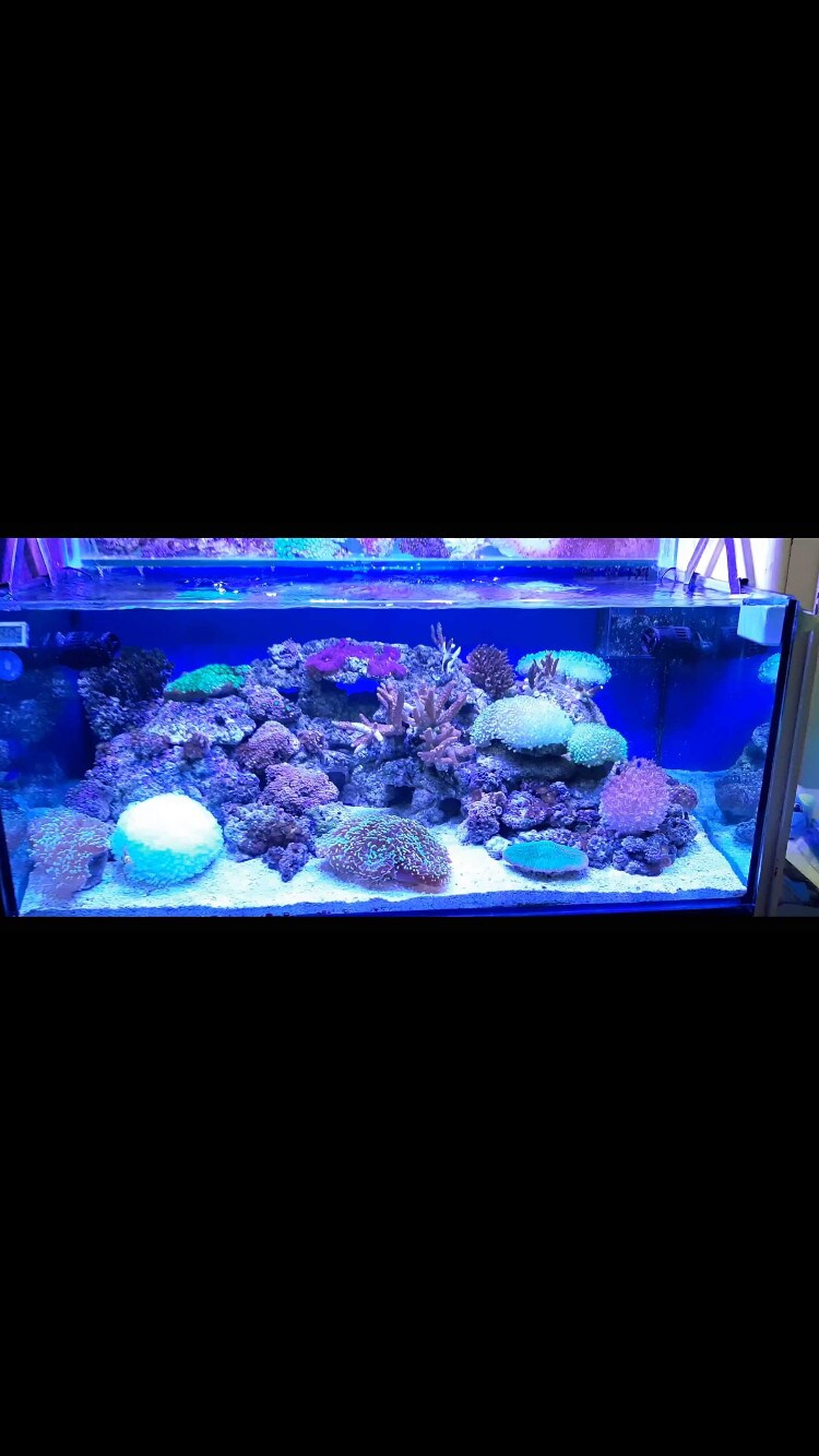 Top 50 Fishing Equipment Dealers in Kolkata Best Fishing Accessory Dealers Justdial