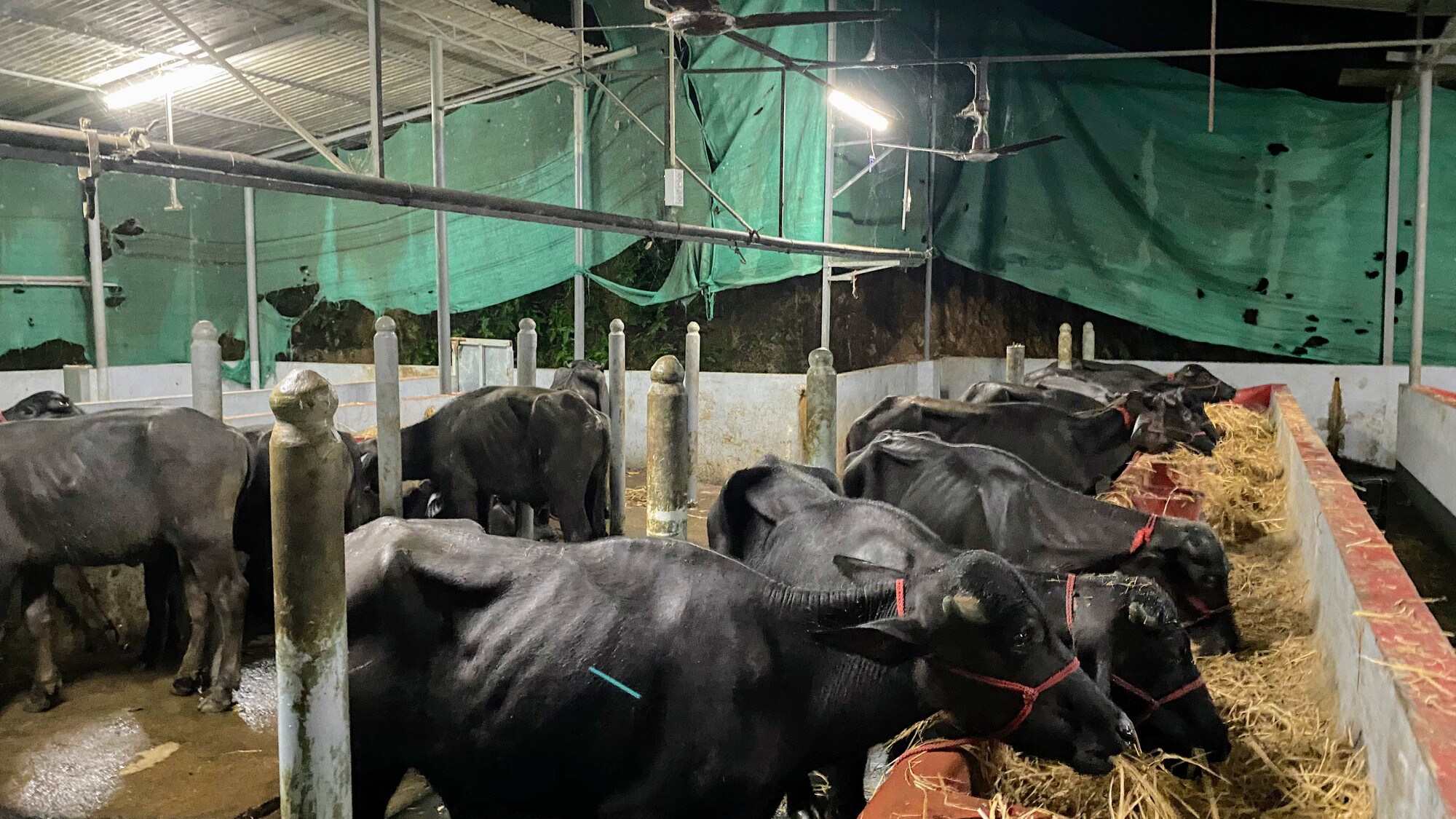 Catalogue District Agricultural Farm in Kottukkal , Kollam Justdial