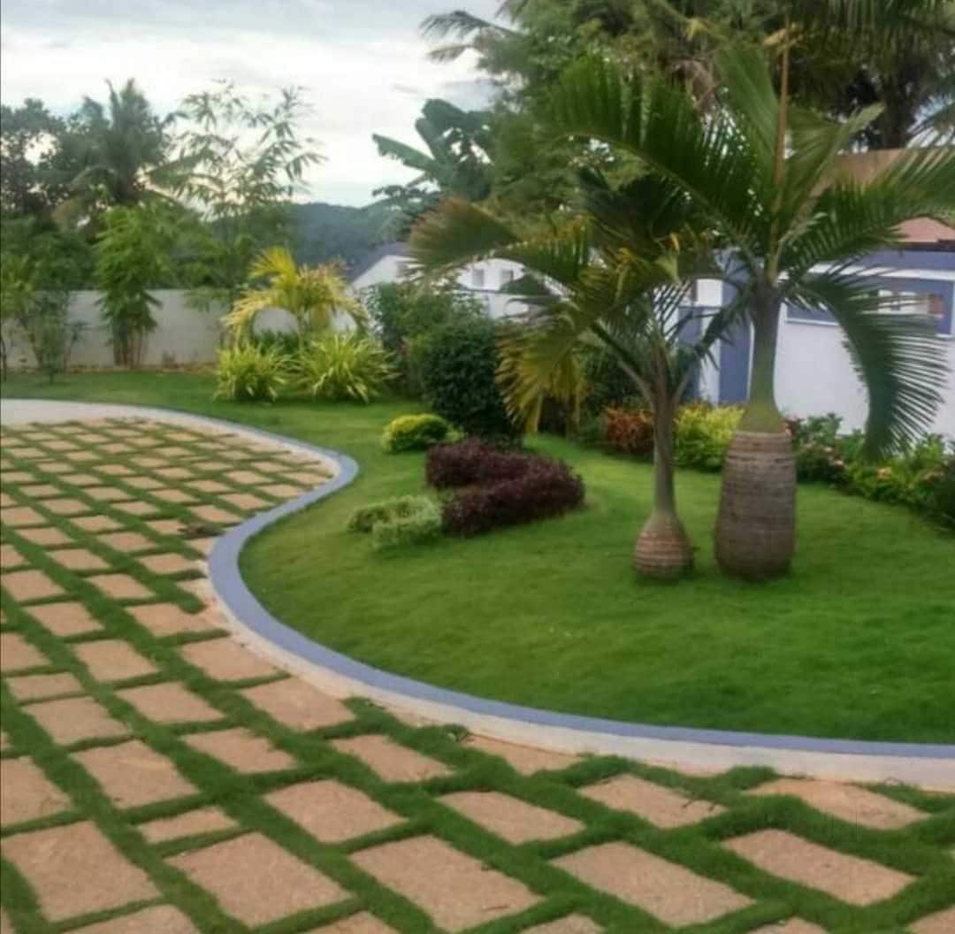 Top 50 Plant Nurseries in Kollam Best Nursery Plant Suppliers Justdial