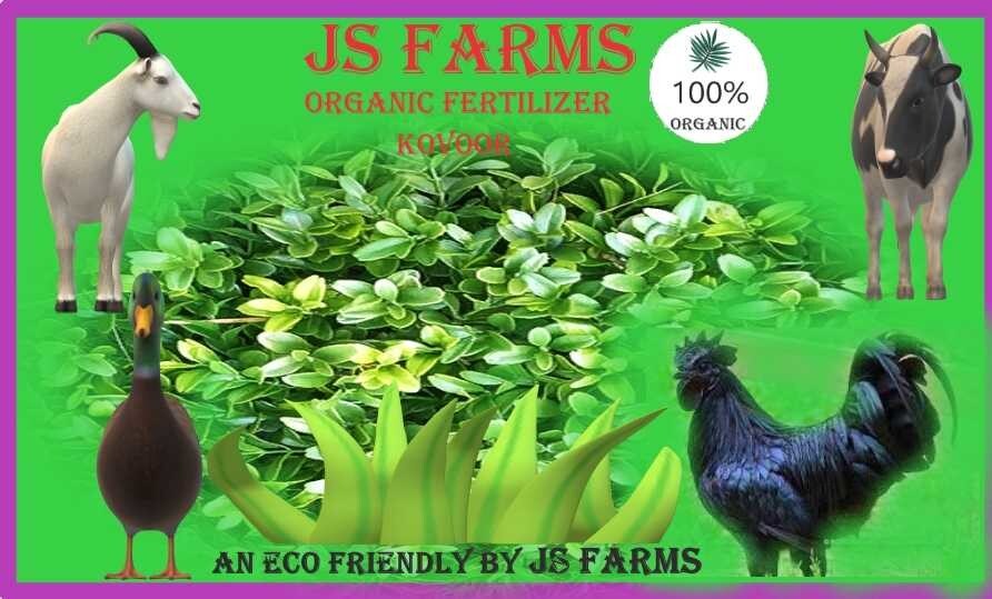 Top Farm House in Kollam near me Justdial