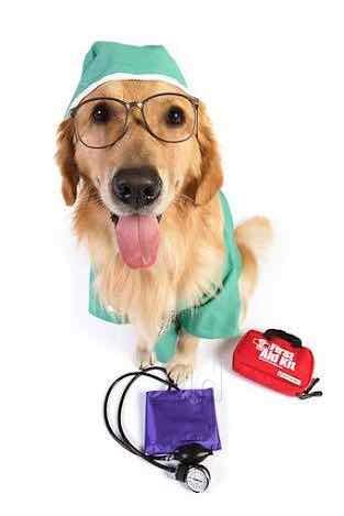 Shiv Shakti Residency Jawahar Nagar Pet Clinics In Kota Rajasthan Kota Rajasthan Justdial