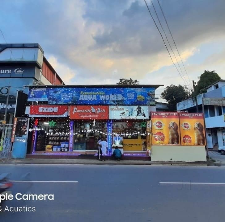 Top Pet Shops in Ramapuram Bazar, Kottayam Best Pet Store & Suppliers Justdial