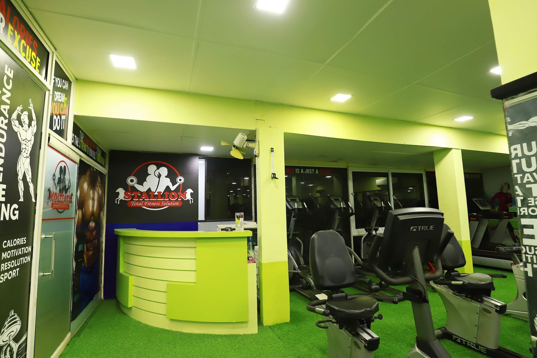 Exercise Bands in Thrissur Durable Resistance Straps for Fitness