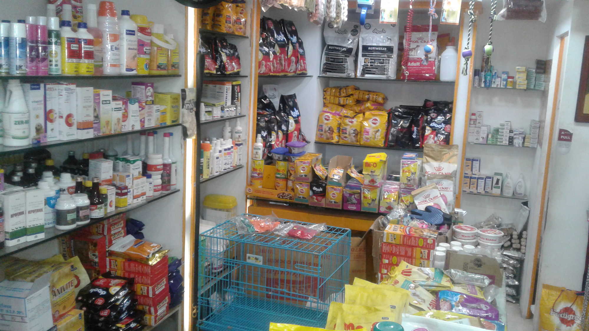 Dog Leash in Hyderabad Durable, Adjustable Stylish Justdial