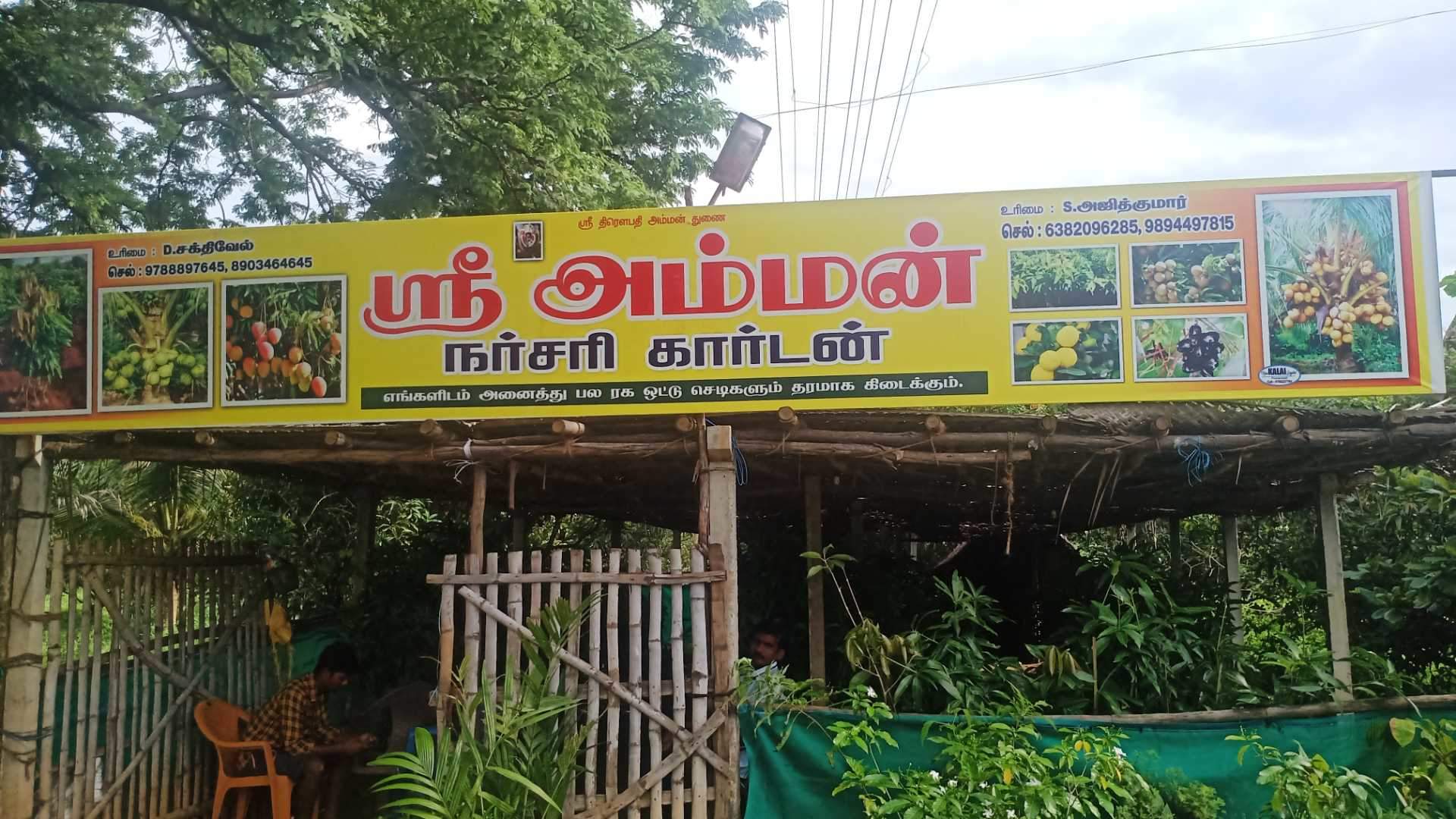 Catalogue Arumugam Nursery Garden in Velampatti , Krishnagiri Justdial