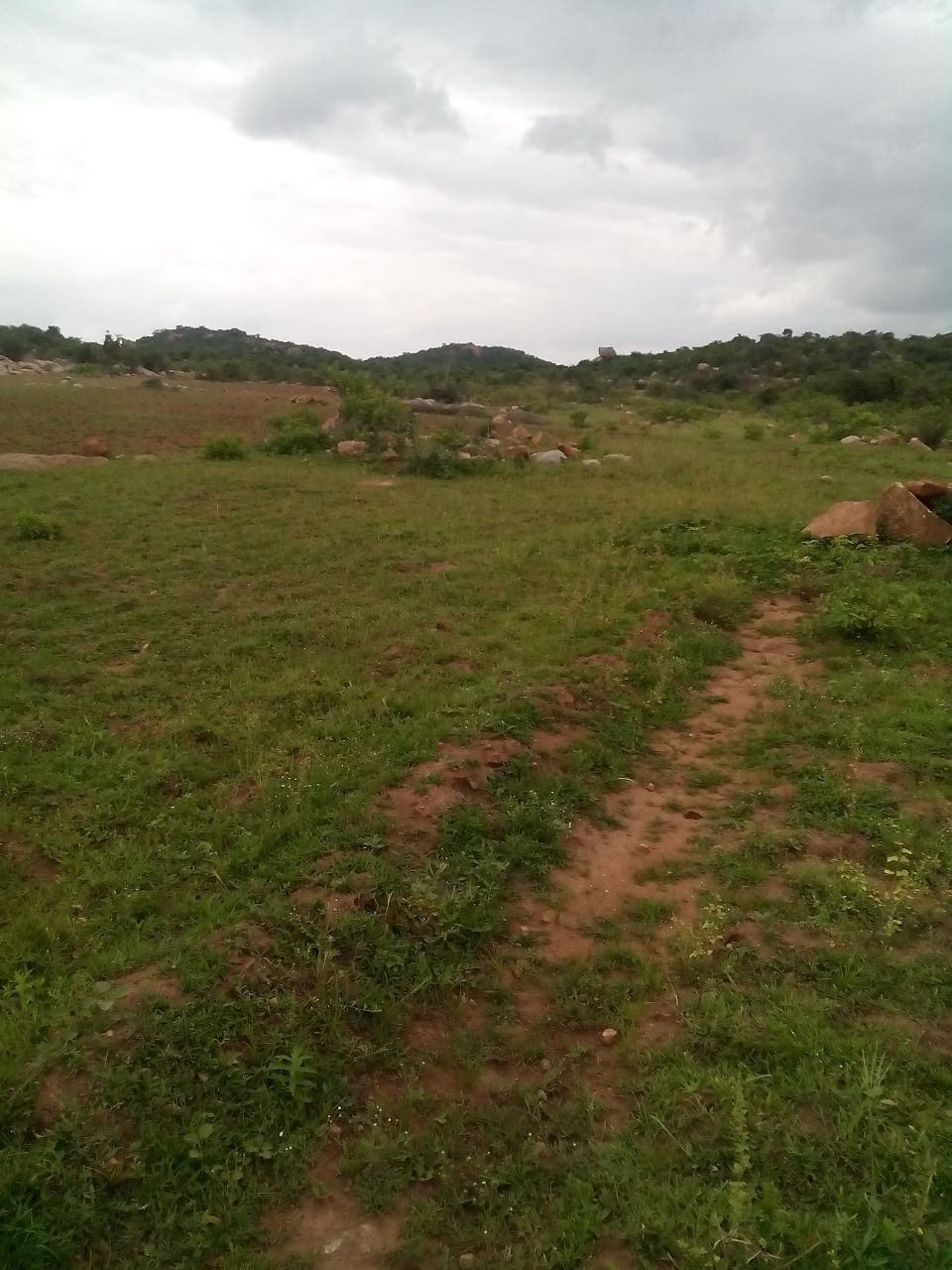 Top Websites For Estate Agent in R S Road Best Online Real