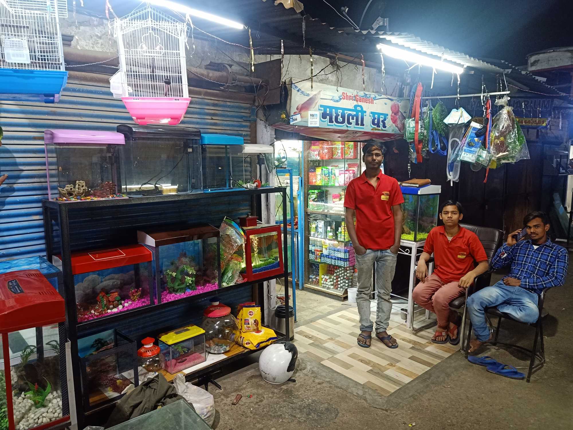 Top 100 Fish Aquariums in Lucknow Best Fish Aquarium Dealers Justdial