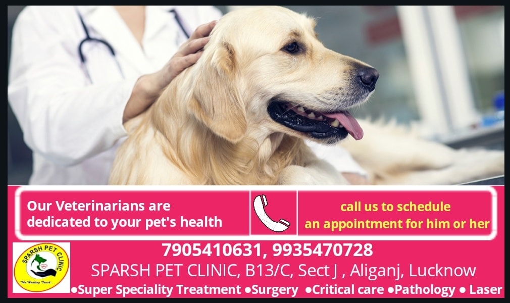 24 hrs pet clinic near me