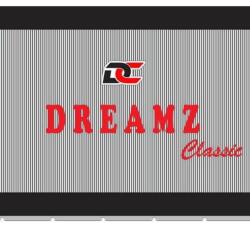 Dreamz Classic in Model Town,Ludhiana - Best Leather Safety Shoe