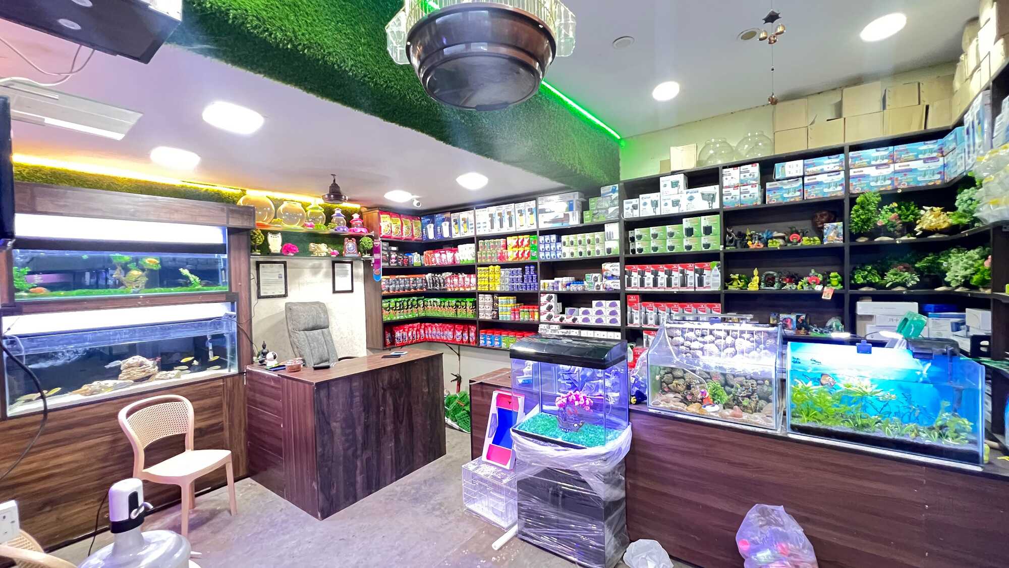 Catalogue Ms Aquarium & Birds in Madurai Justdial