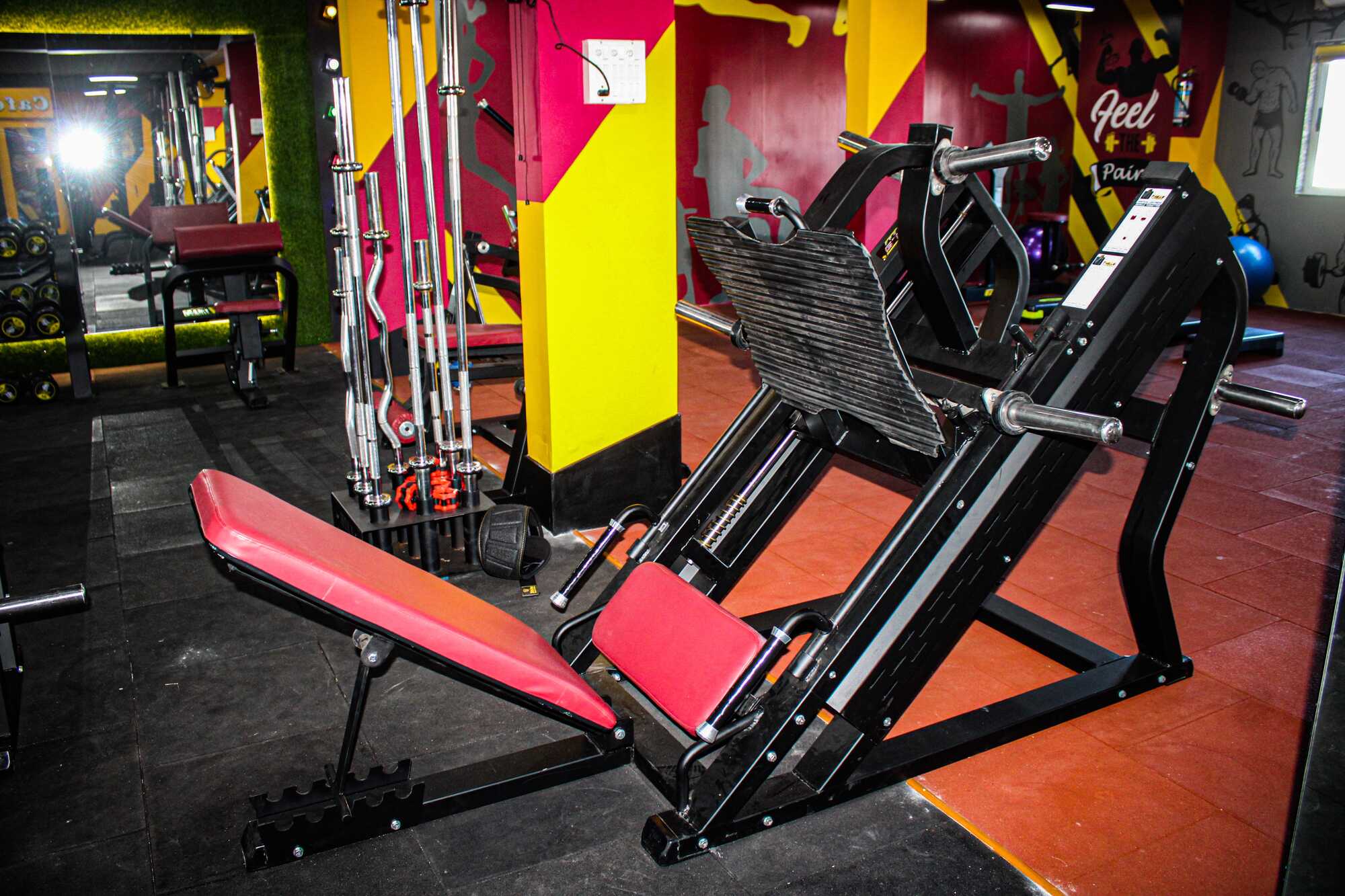 Top Fitness Consultants in Malappuram Best Fitness Counsellors near