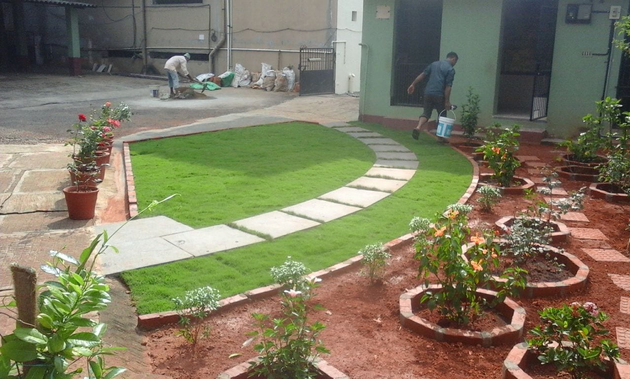 Catalogue Bhoomi Nursery and Accessories in Rayee , Mangalore Justdial