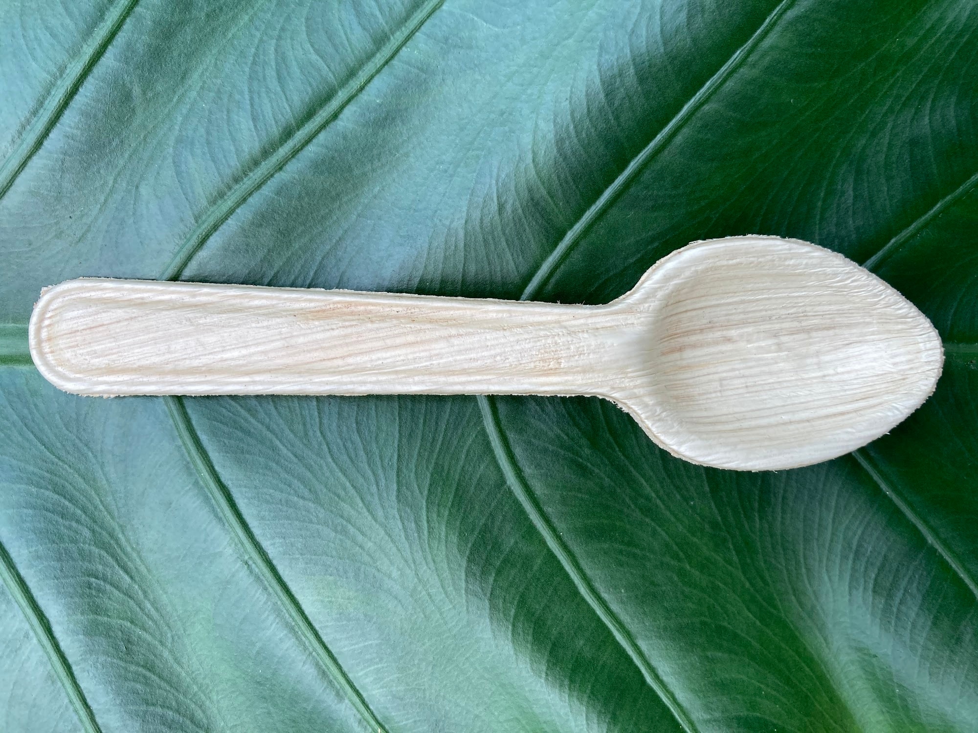 Coconut Shell in Shimoga Eco-Friendly, Durable Versatile